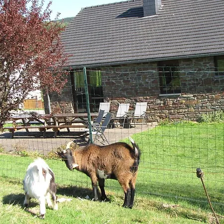 Lovely Holiday In Heilrimont With Garden Vakantiehuis Stoumont
